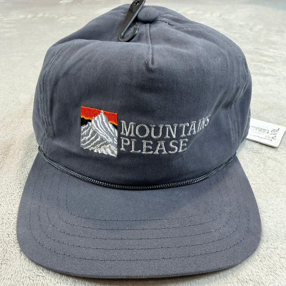NWT Coal Headwear Mountains Please Grey Strapback Hat Unisex OSFM